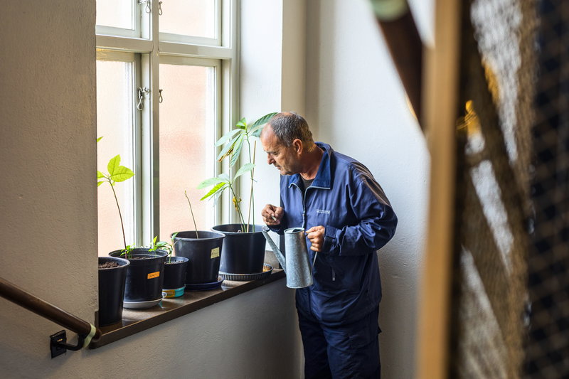 deltagare vattnar blommor